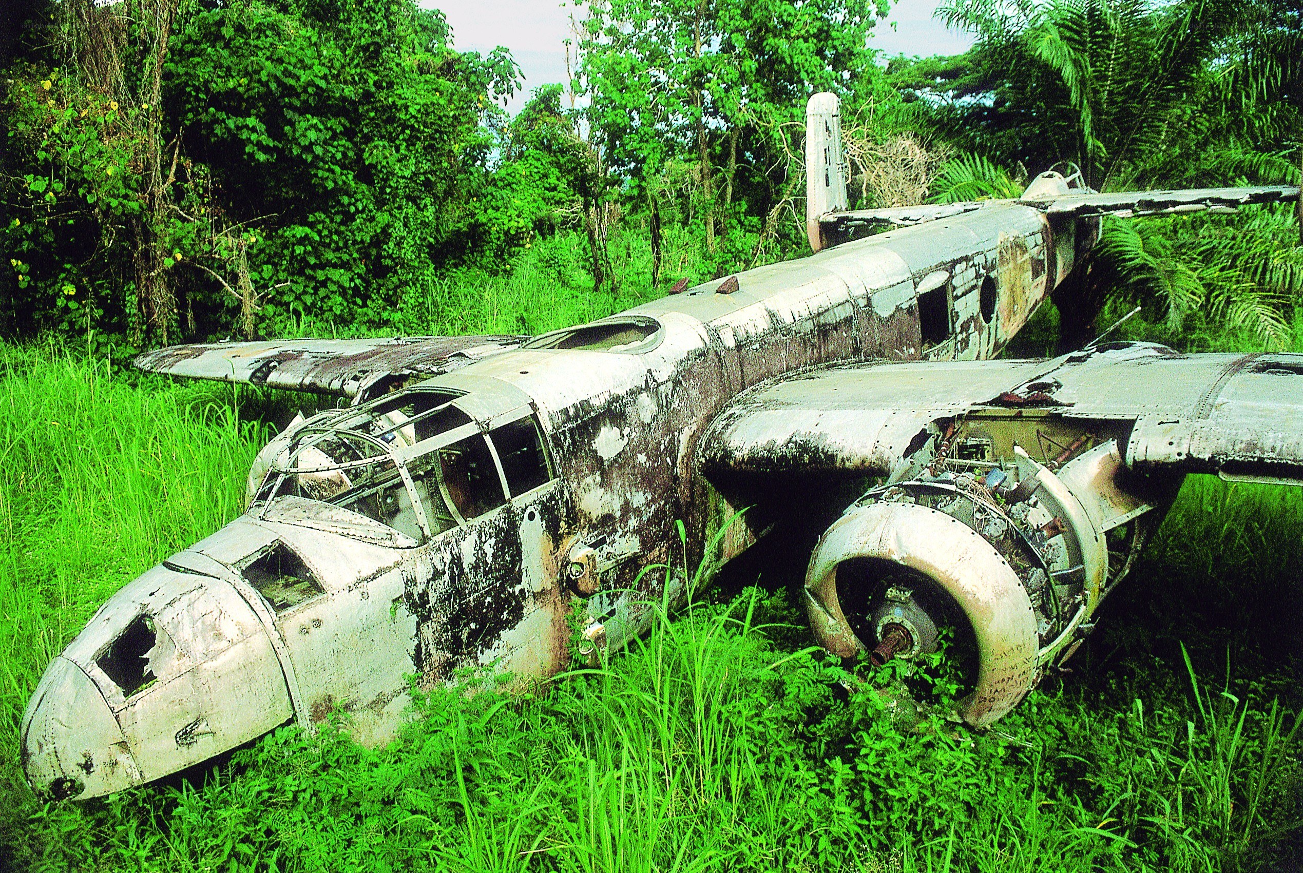 Wrecked airplane in jungle