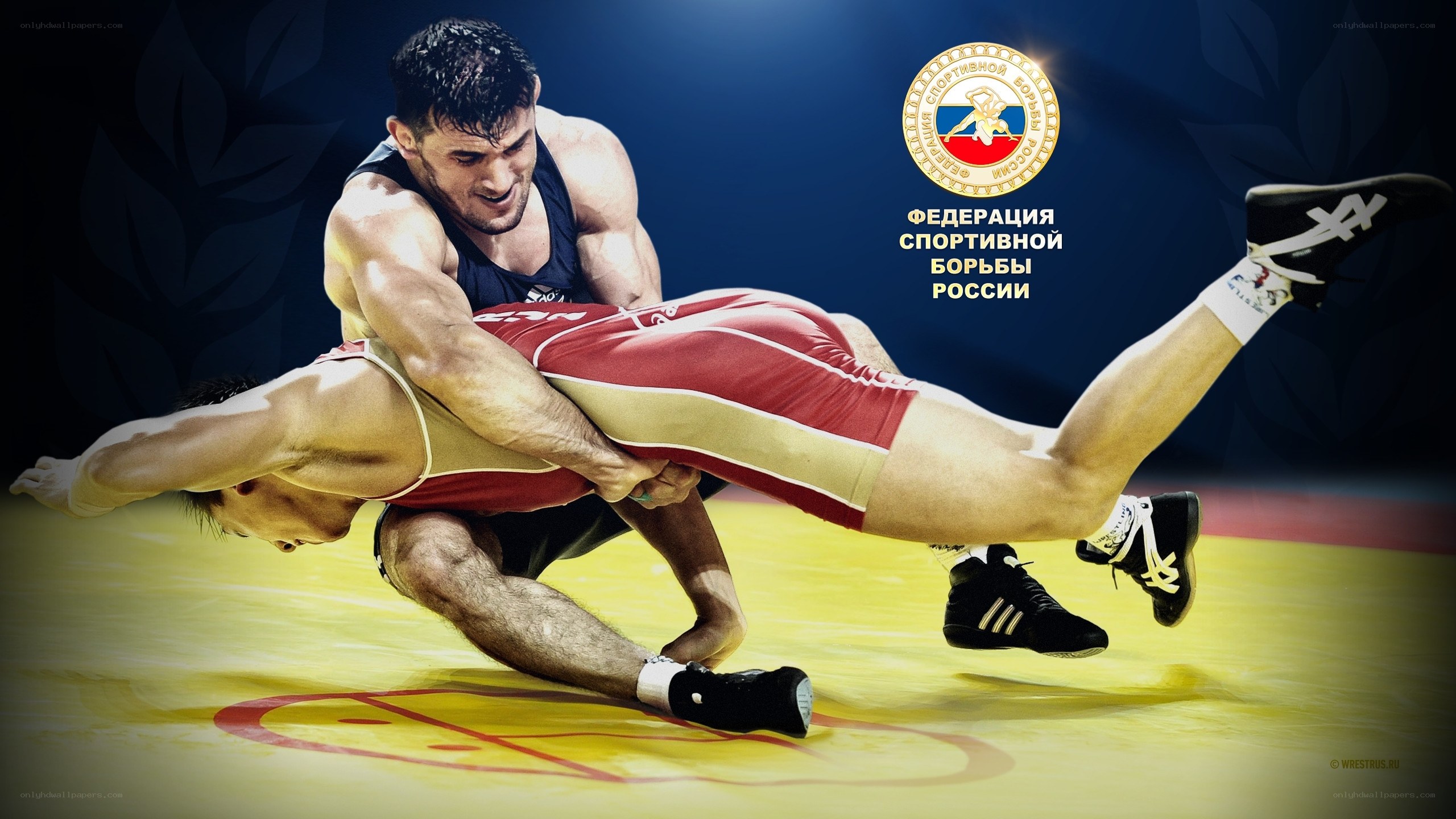 Wrestling match in action