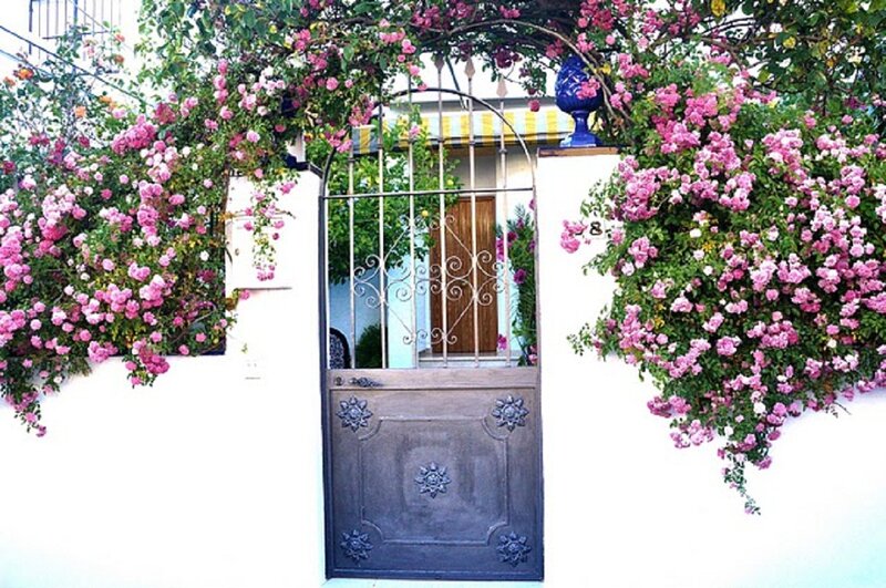 Wrought-iron Gate with Roses