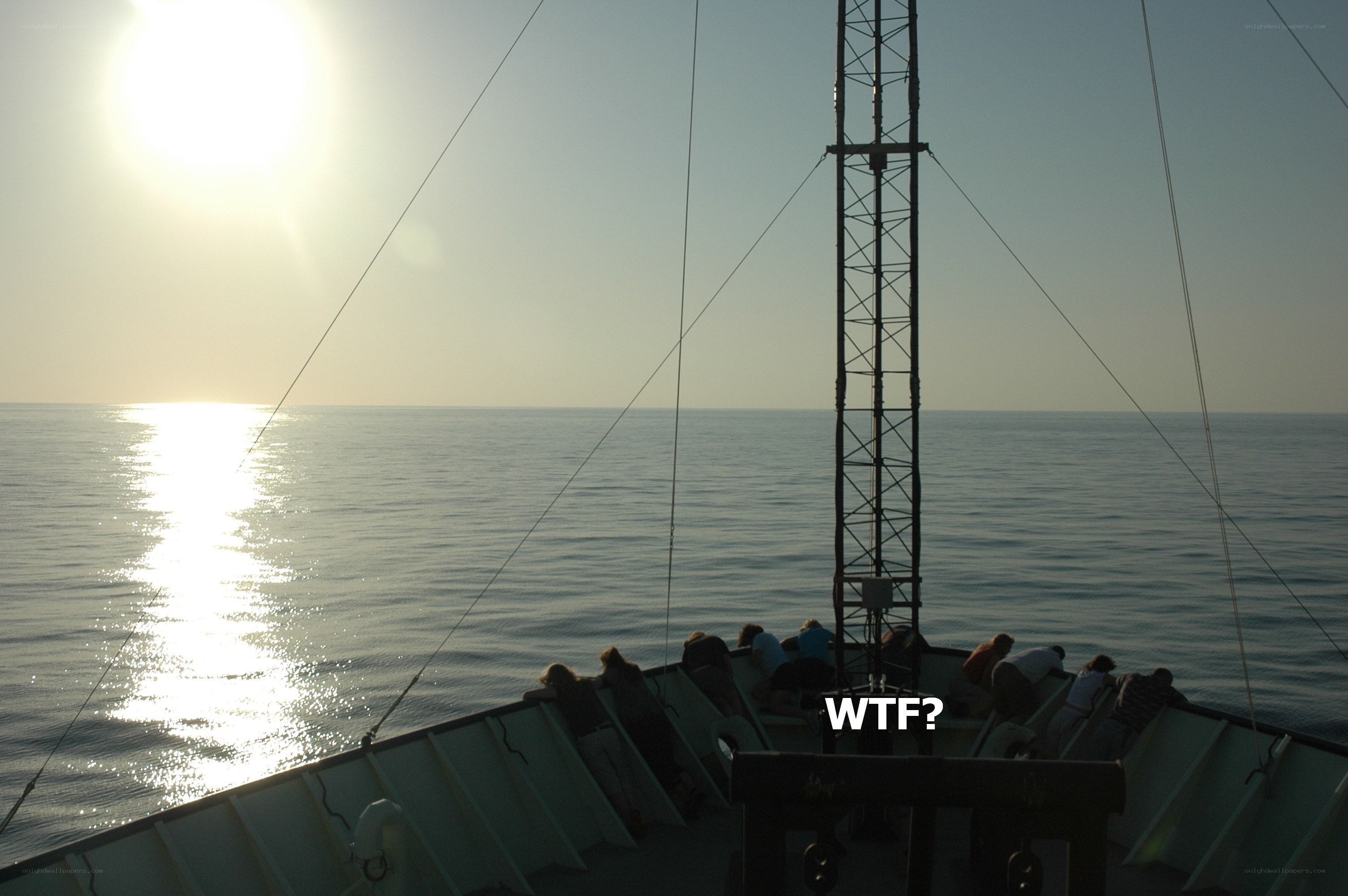 WTF? on a boat at sunset