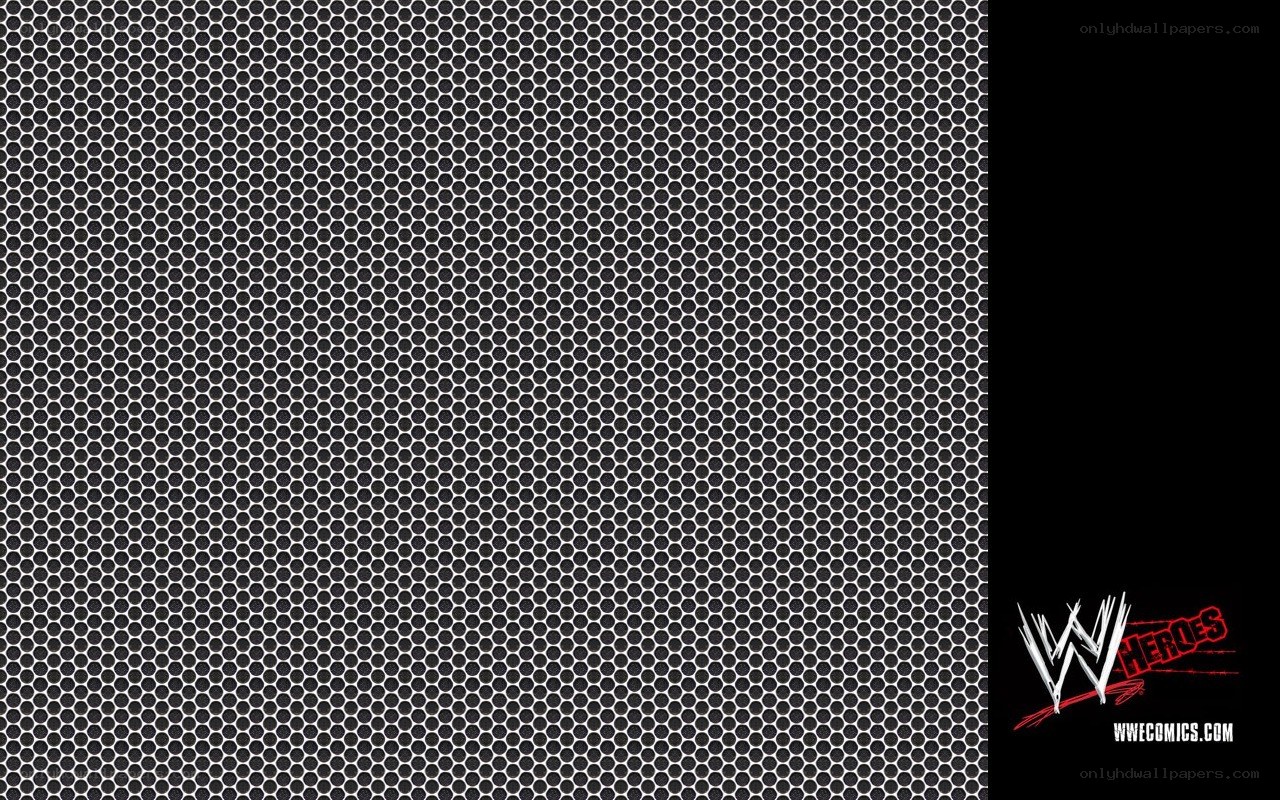 WWE Heroes logo on mesh background