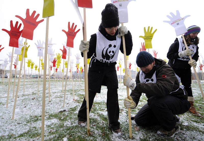WWF activists planting hand signs