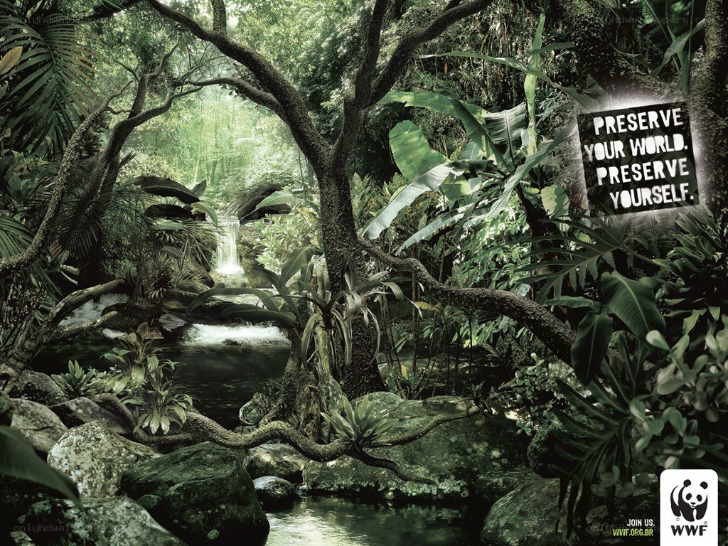 WWF conservation ad