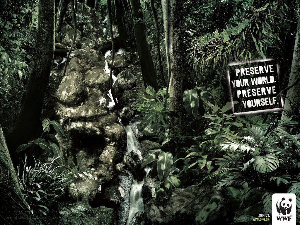 WWF conservation ad