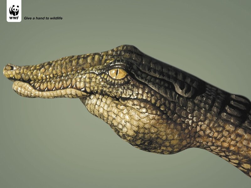 WWF wildlife conservation ad