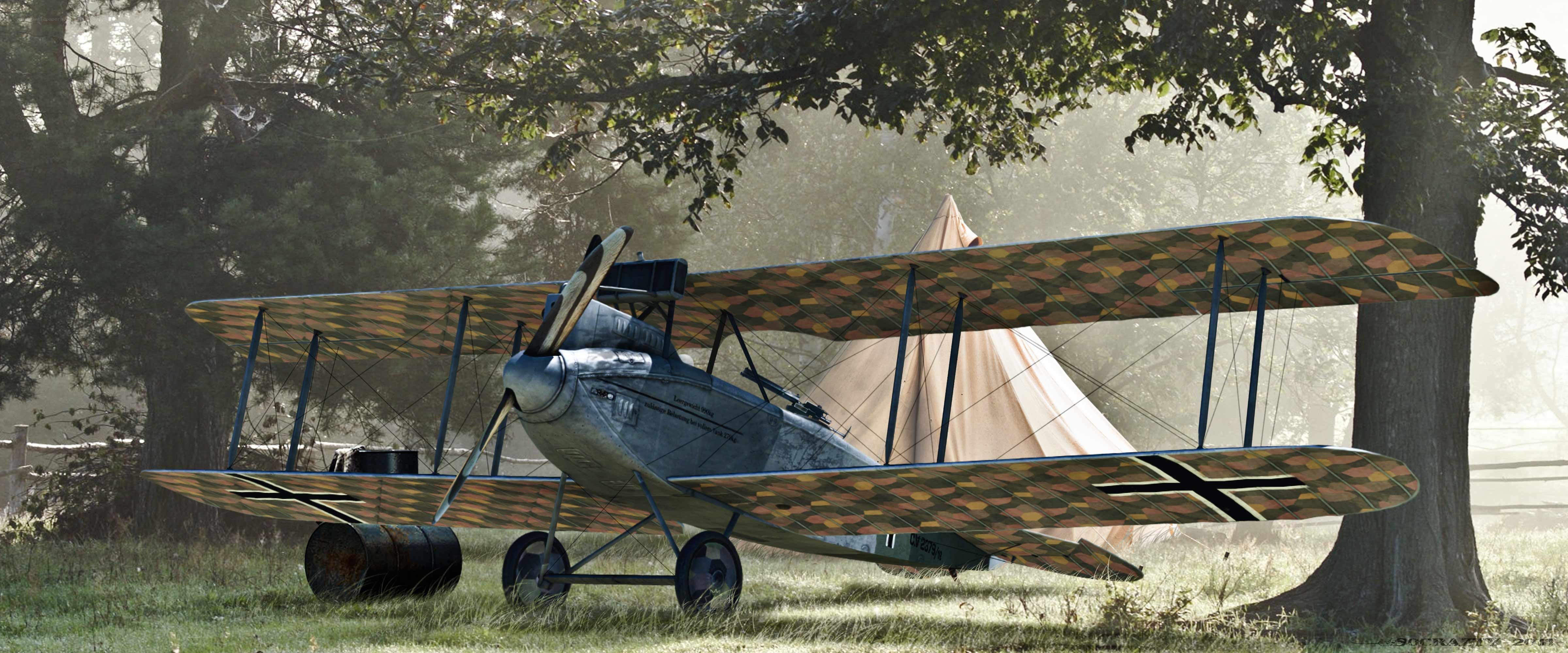 WWI German biplane in forest