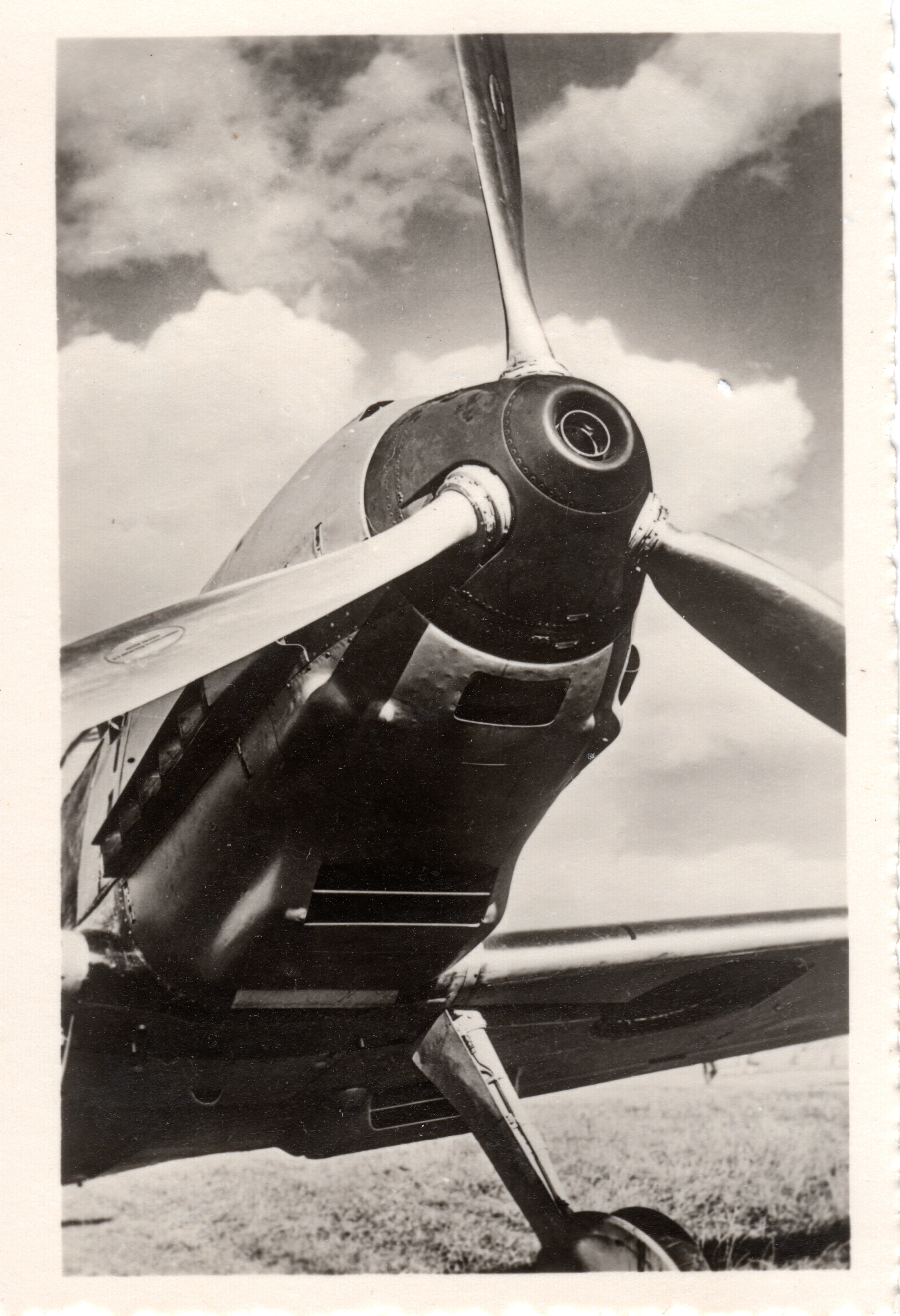 WWII fighter plane propeller