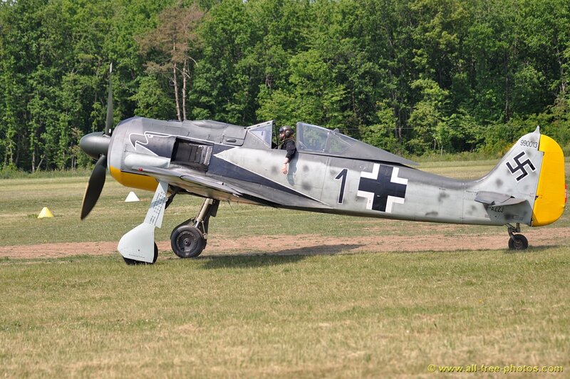 WWII German Fighter Plane — Green