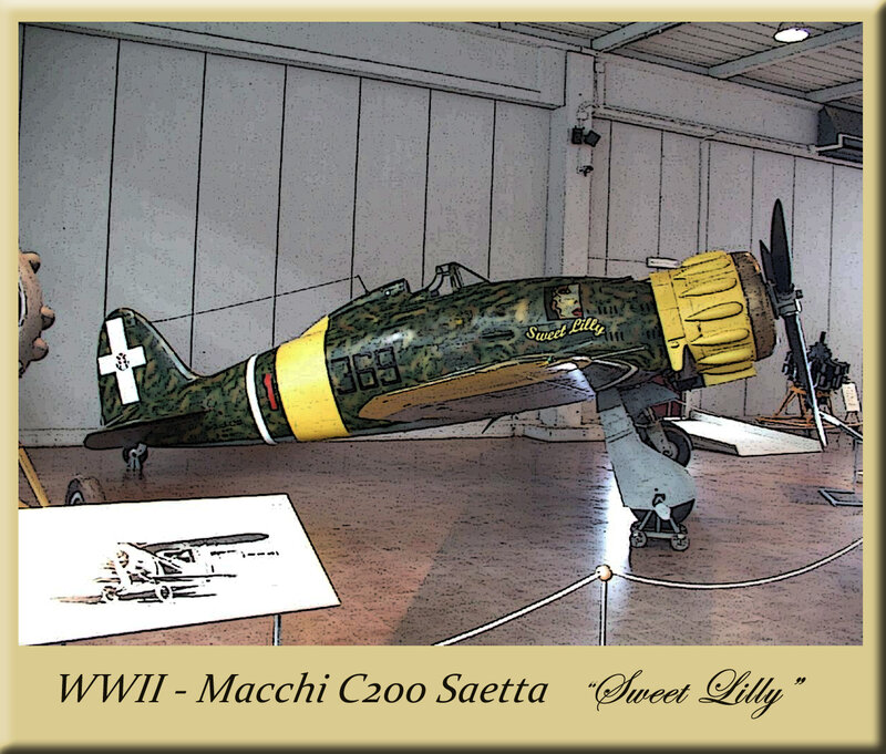 WWII Italian Fighter Plane