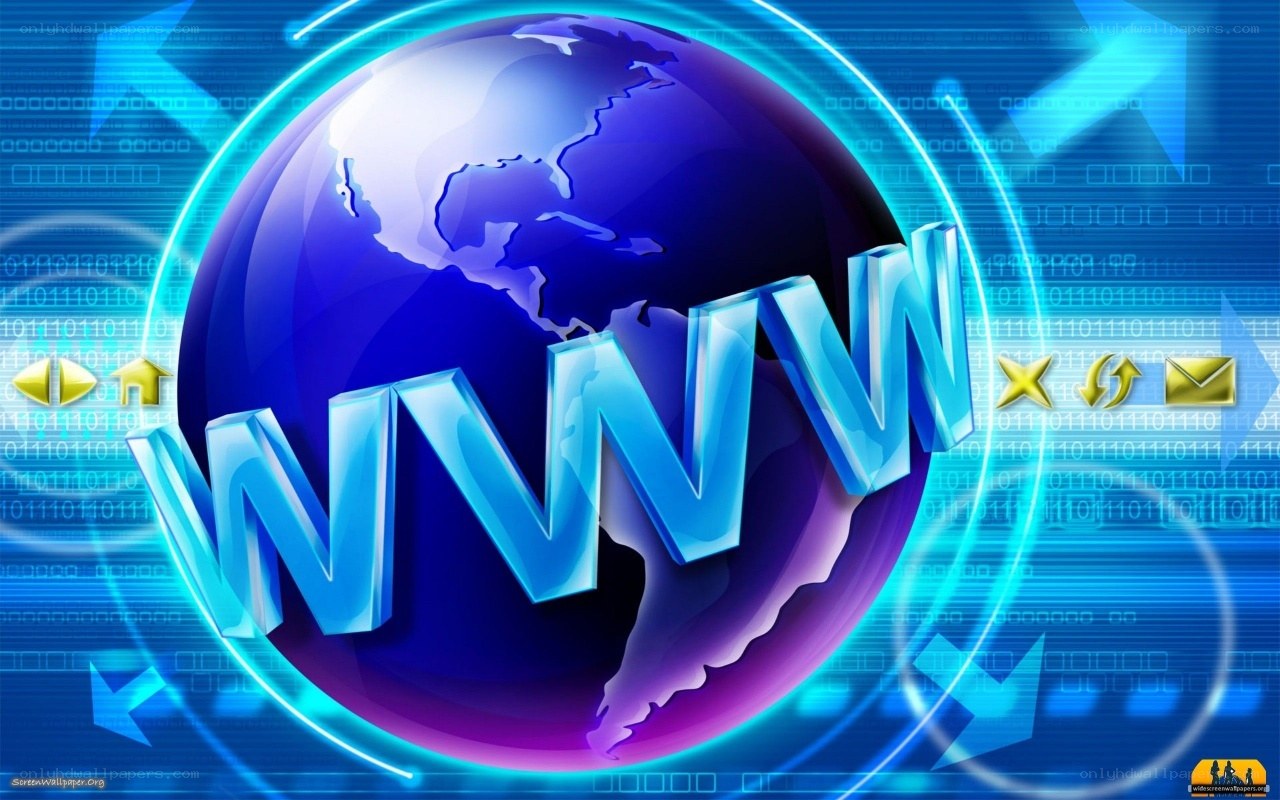 WWW and globe digital background
