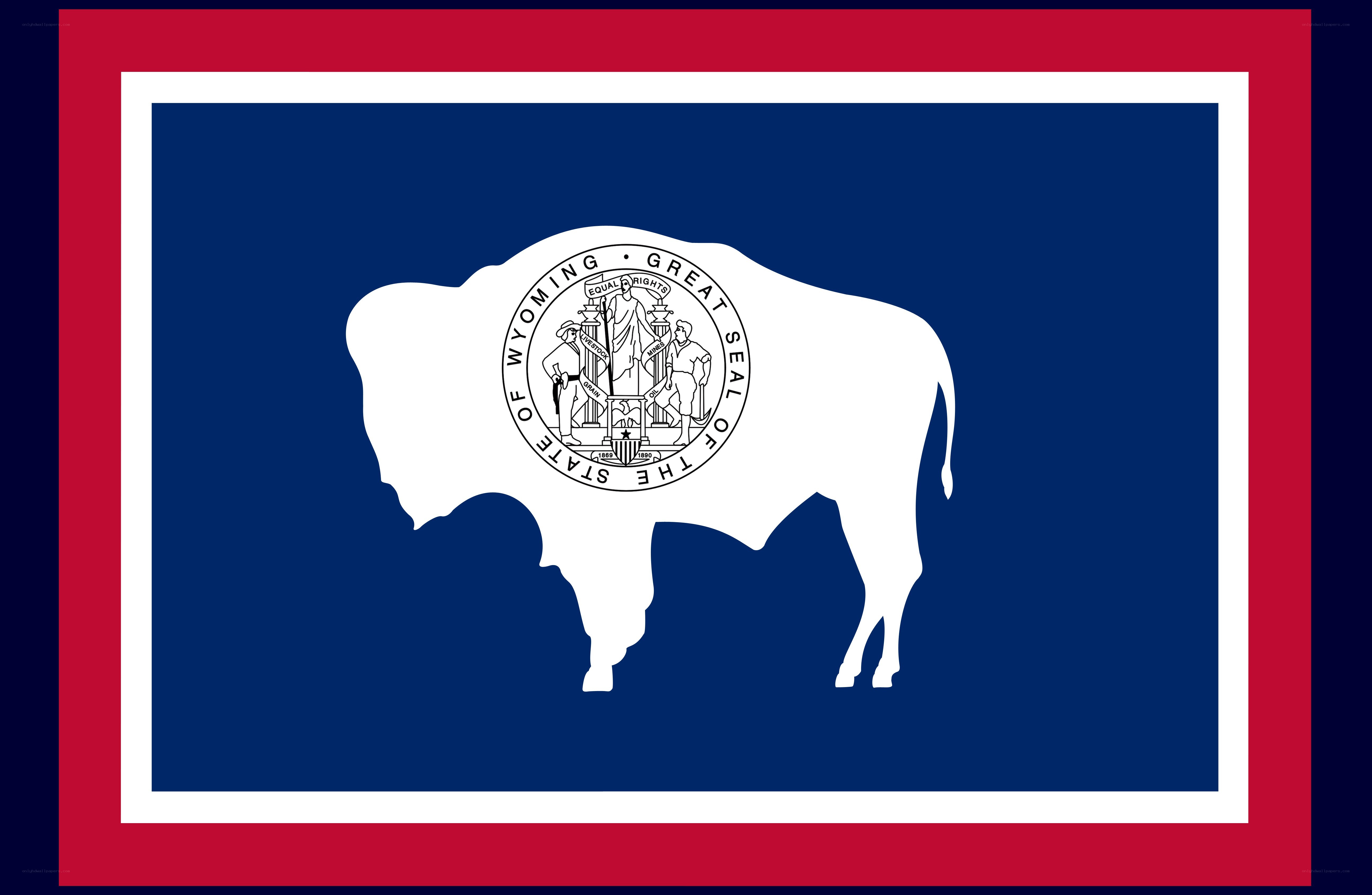 Wyoming state flag