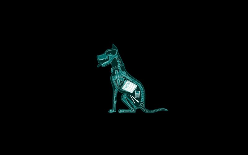X-ray Dog Skeleton
