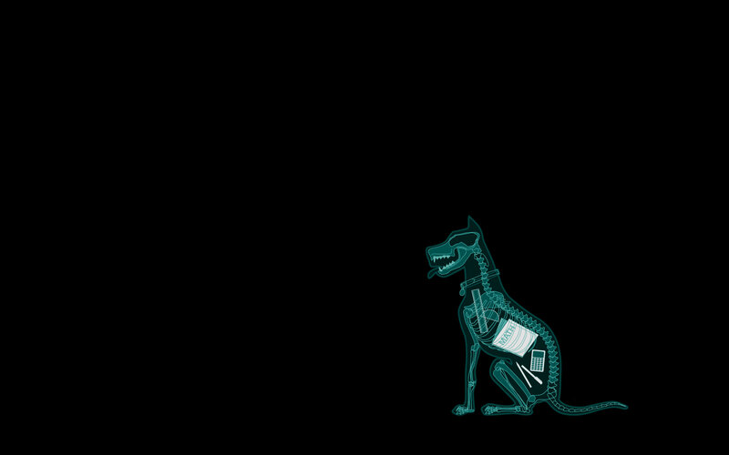 x-ray dog with gadgets