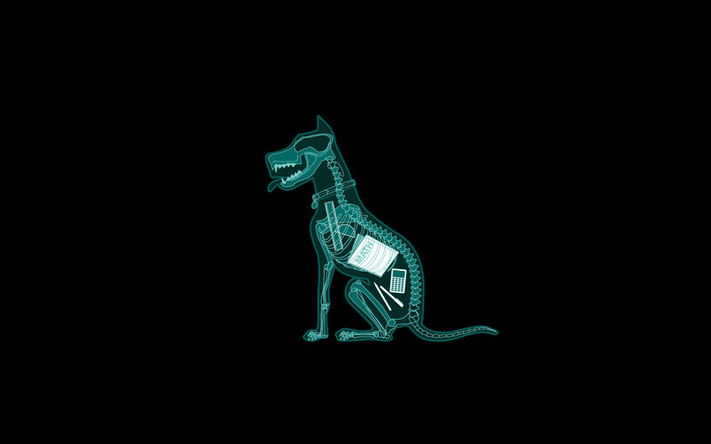 X-ray dog with objects
