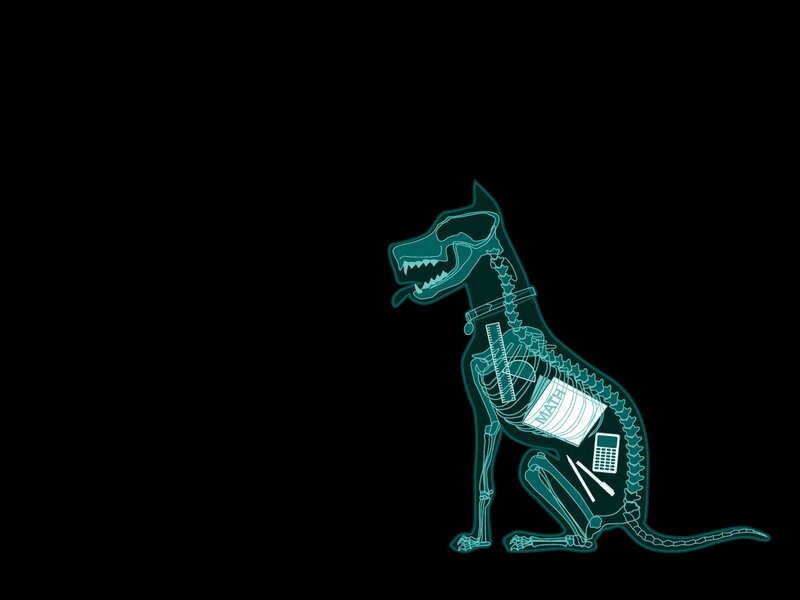 X-ray dog with school supplies