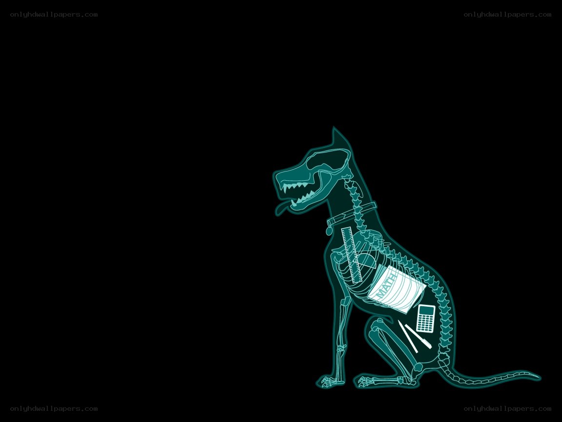 X-ray dog with school supplies