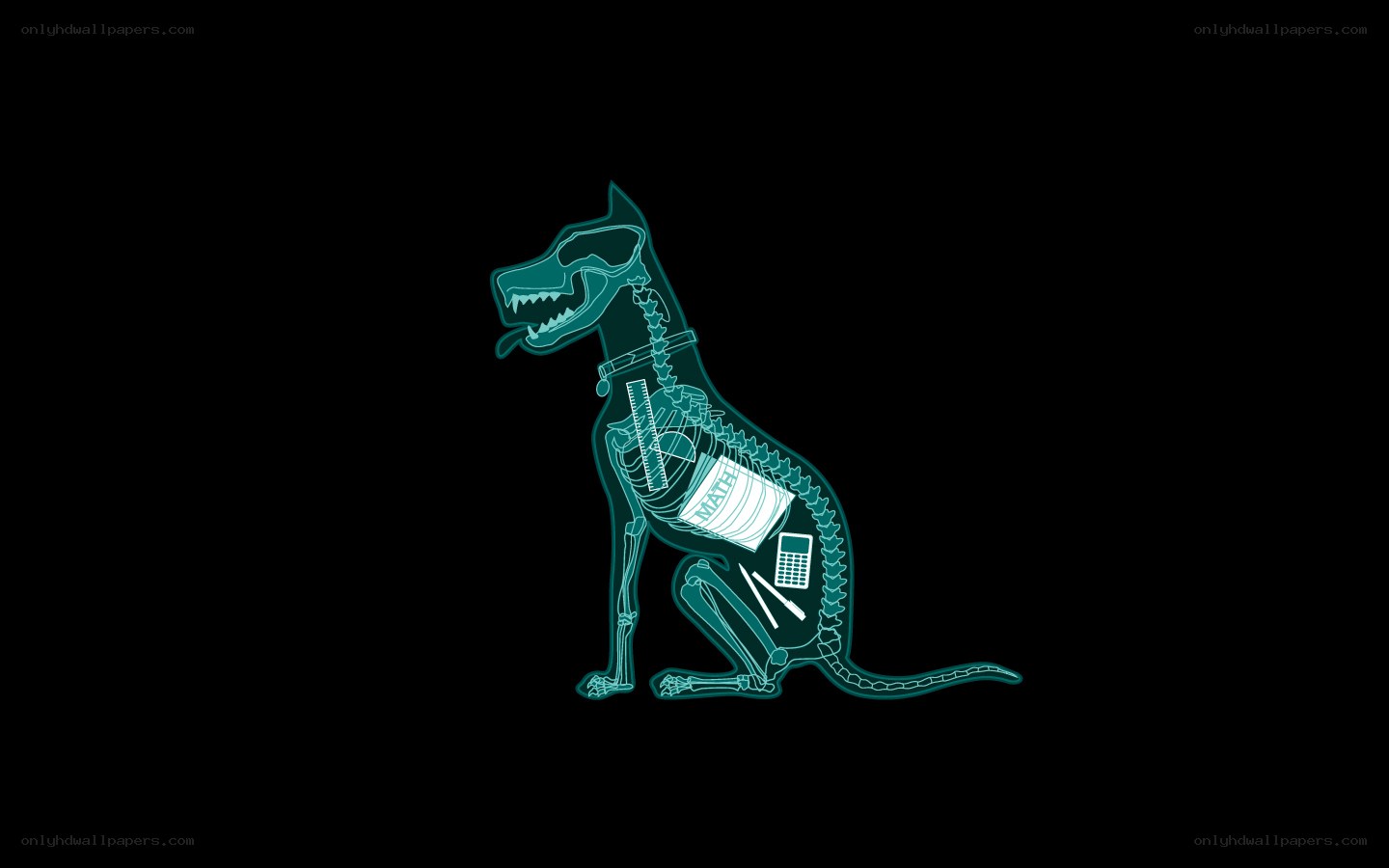 X-ray dog with school supplies