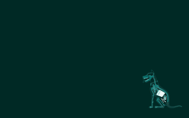 X-ray dog with tech