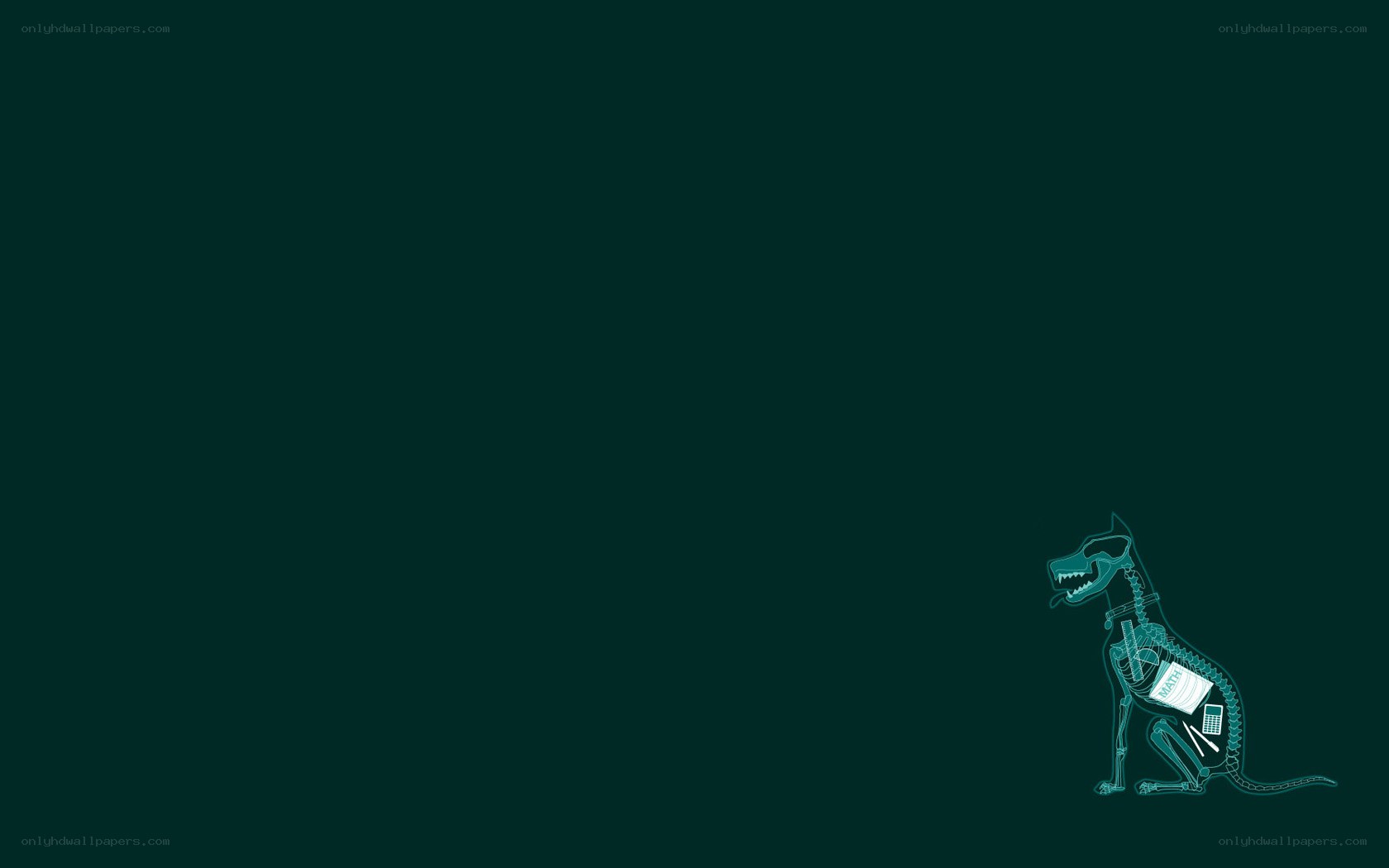 X-ray dog with tech
