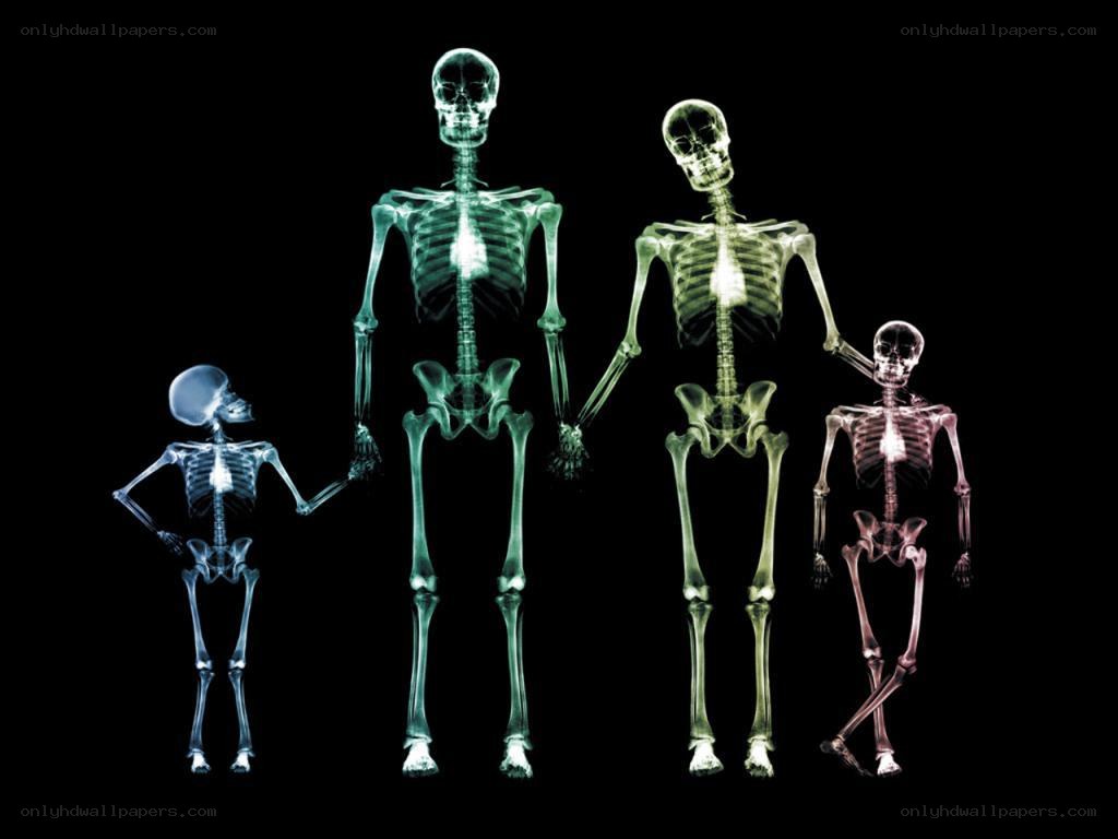 X-ray family skeletons