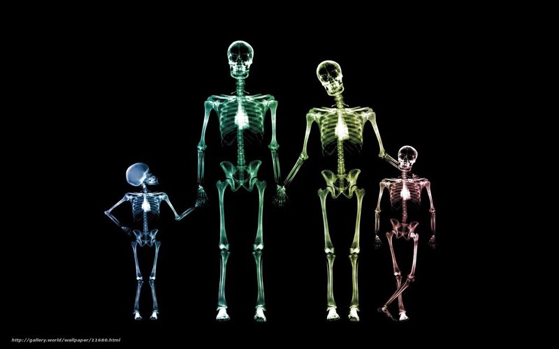 X-ray family skeletons