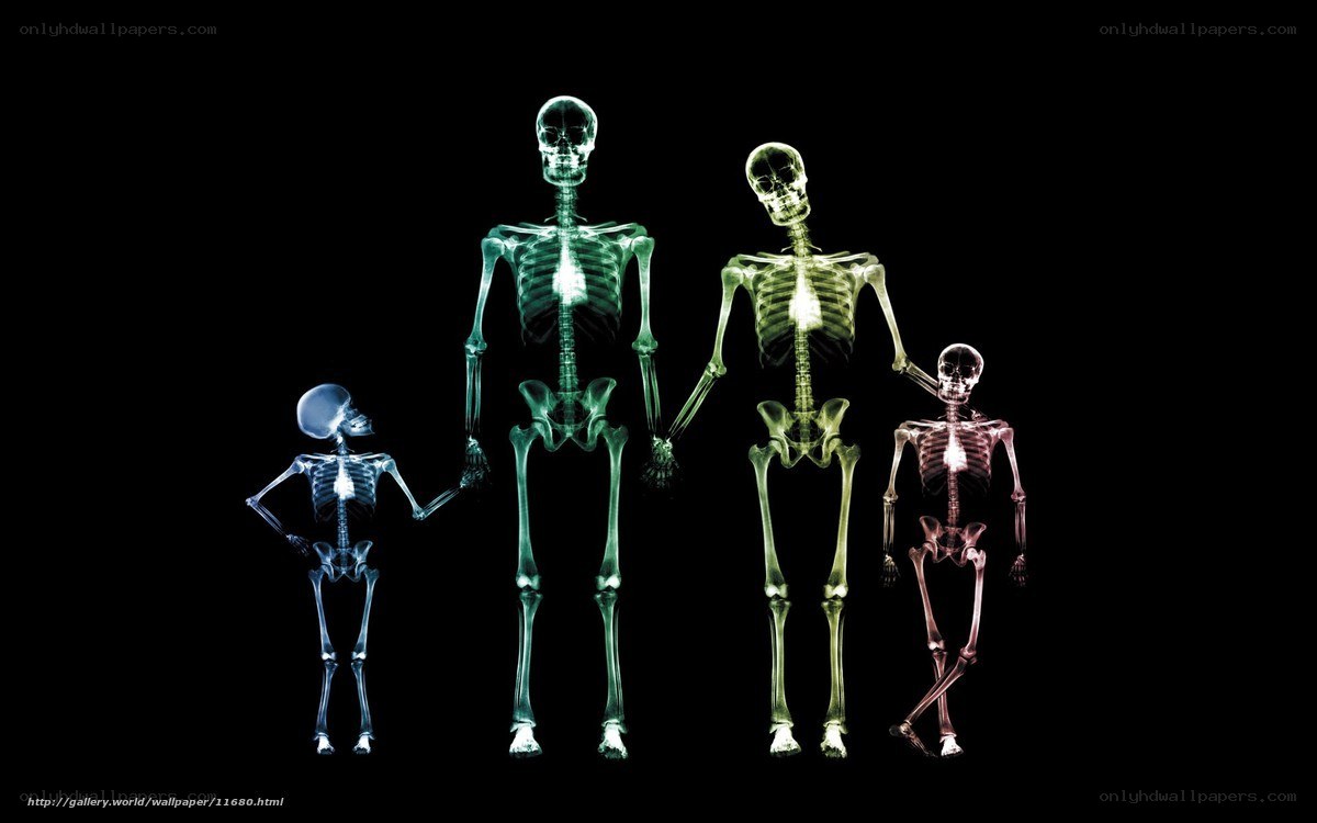 X-ray family skeletons