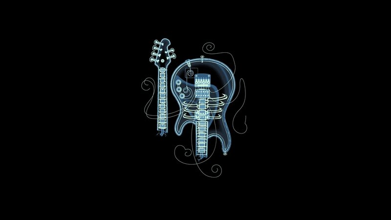 x-ray guitar illustration