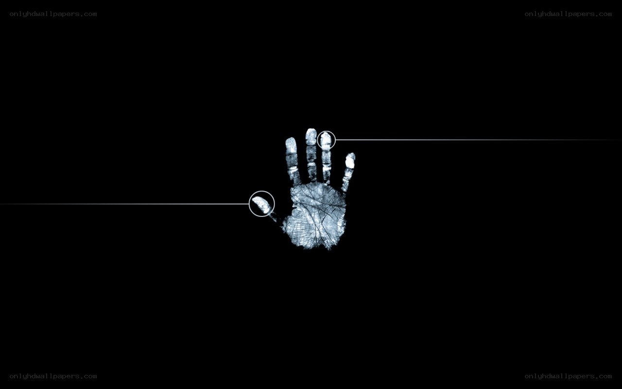 X-ray hand with highlighted fingers