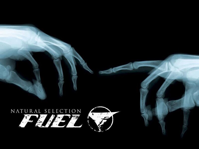 X-ray hands reaching