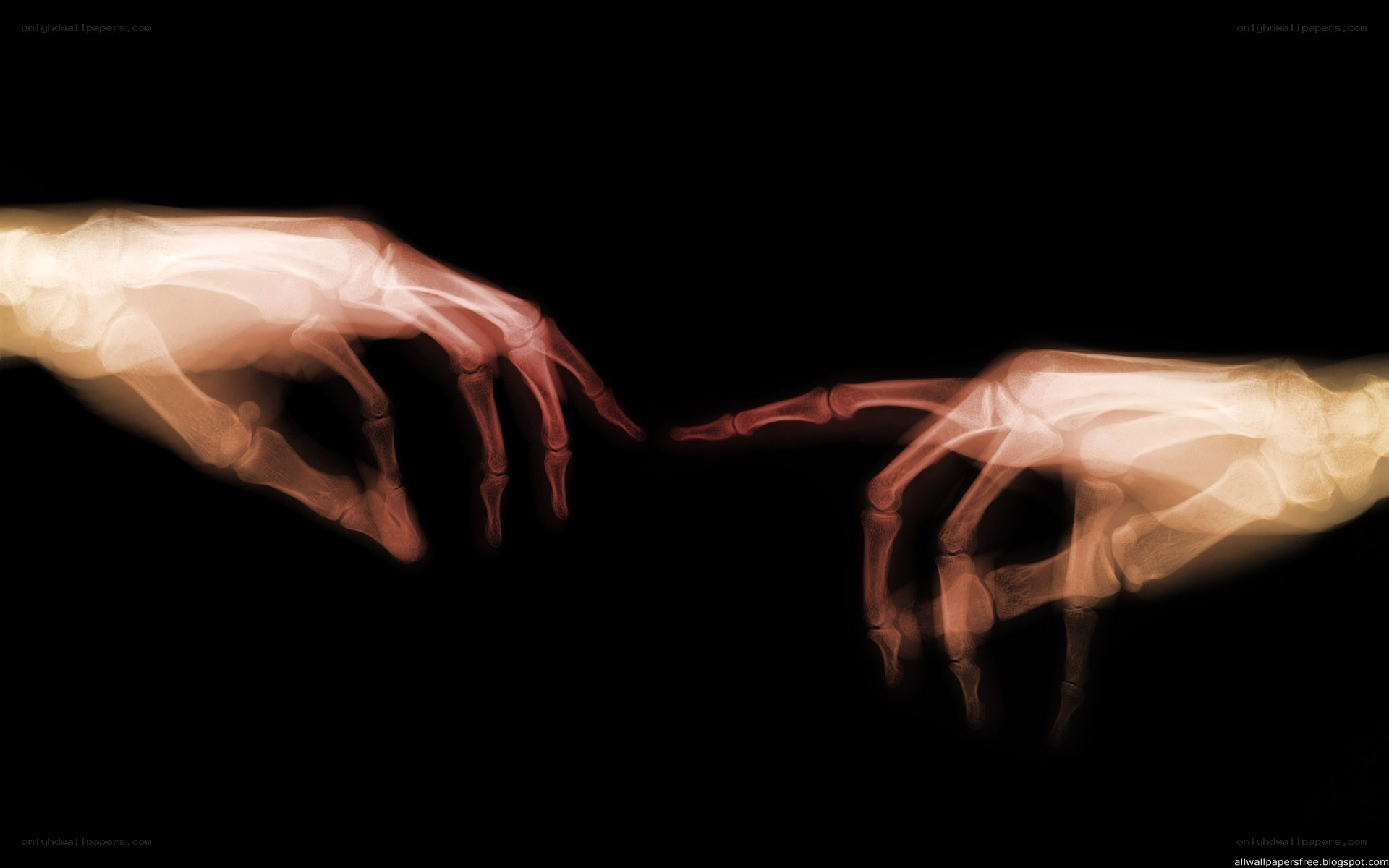 X-ray hands reaching