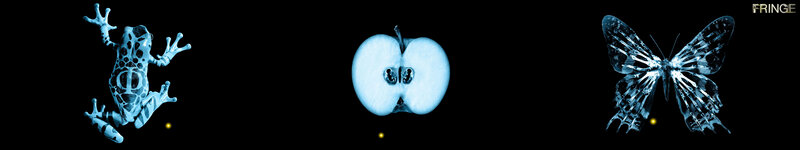 X-ray images of frog, apple, butterfly