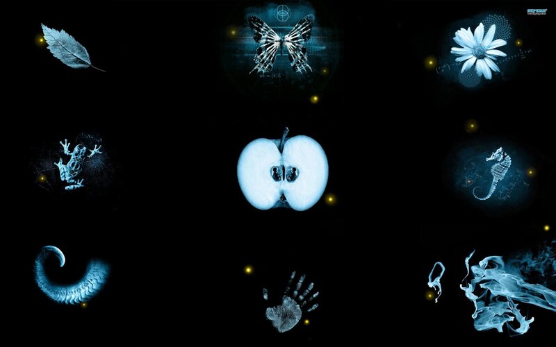 X-ray nature collage