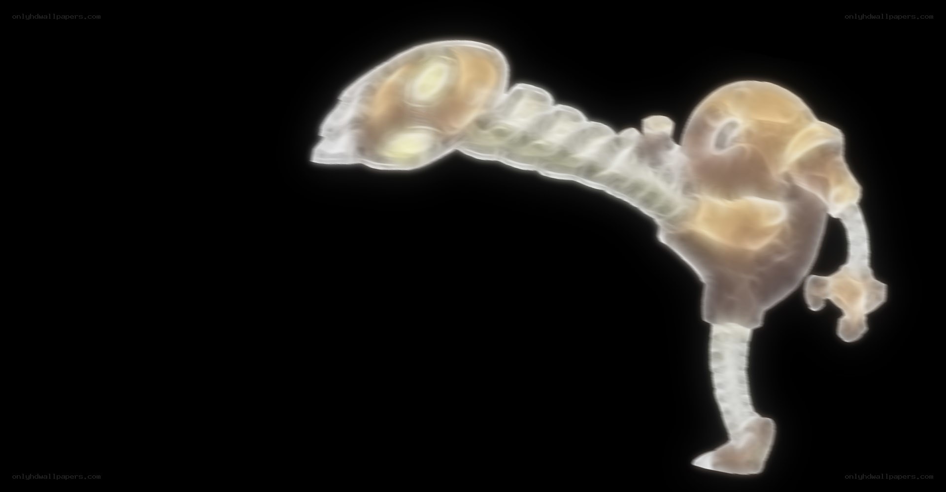 X-ray of a creature