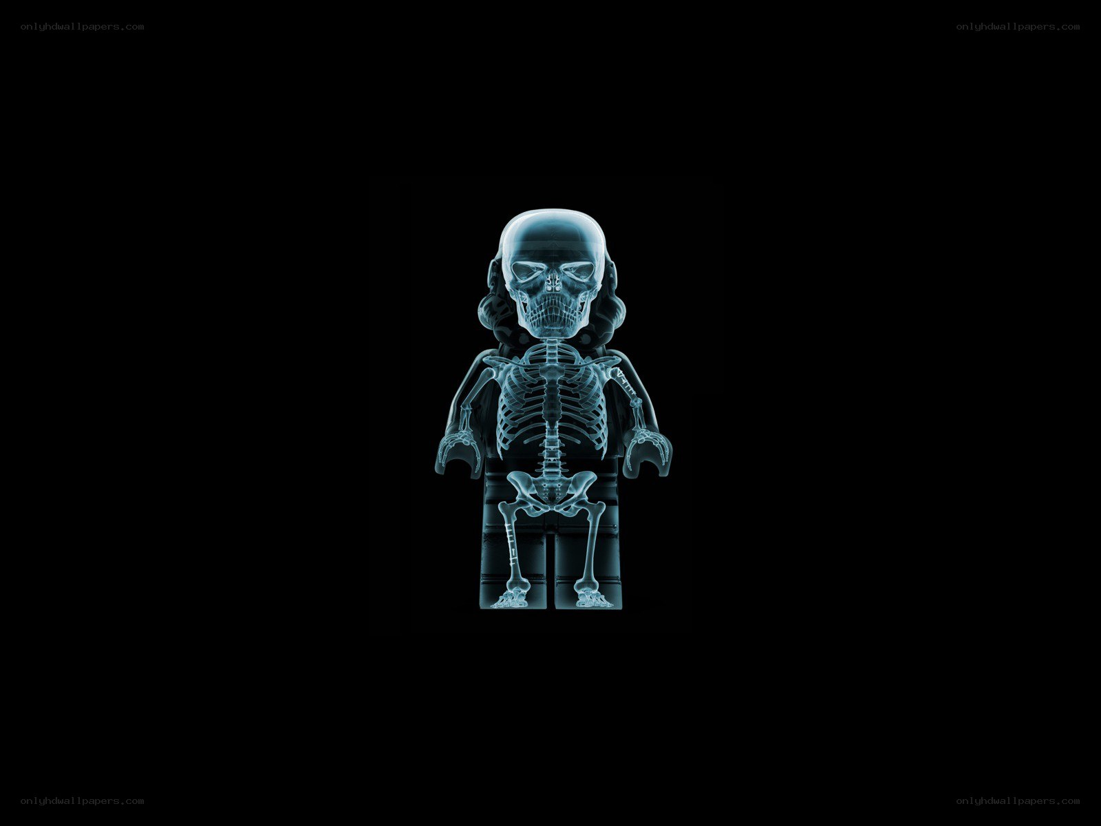X-ray of a skeleton minifigure