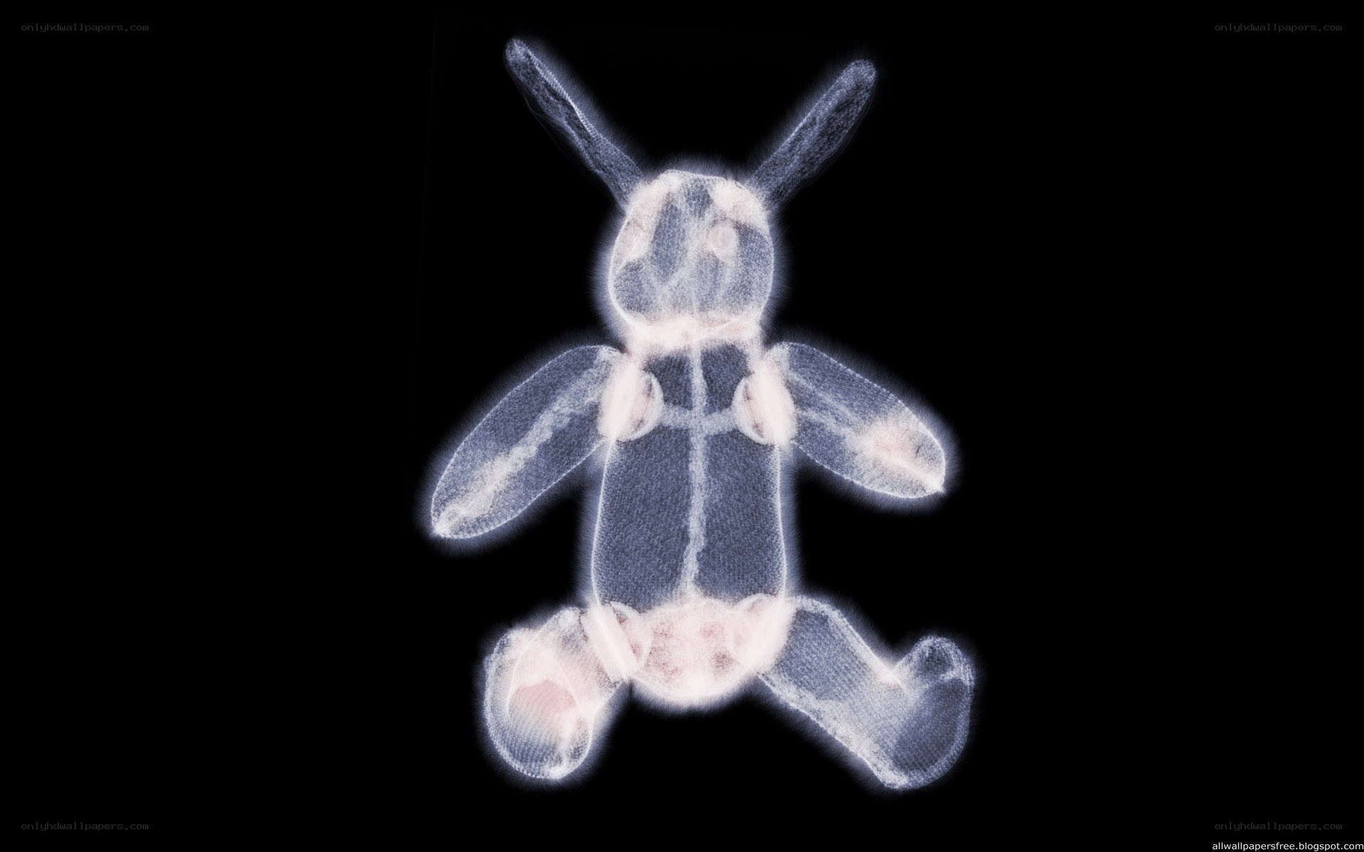 X-ray of a stuffed rabbit