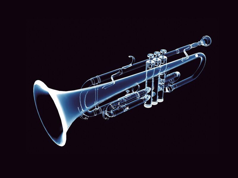 X-ray of a trumpet