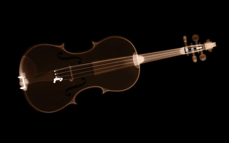 X-ray of a violin