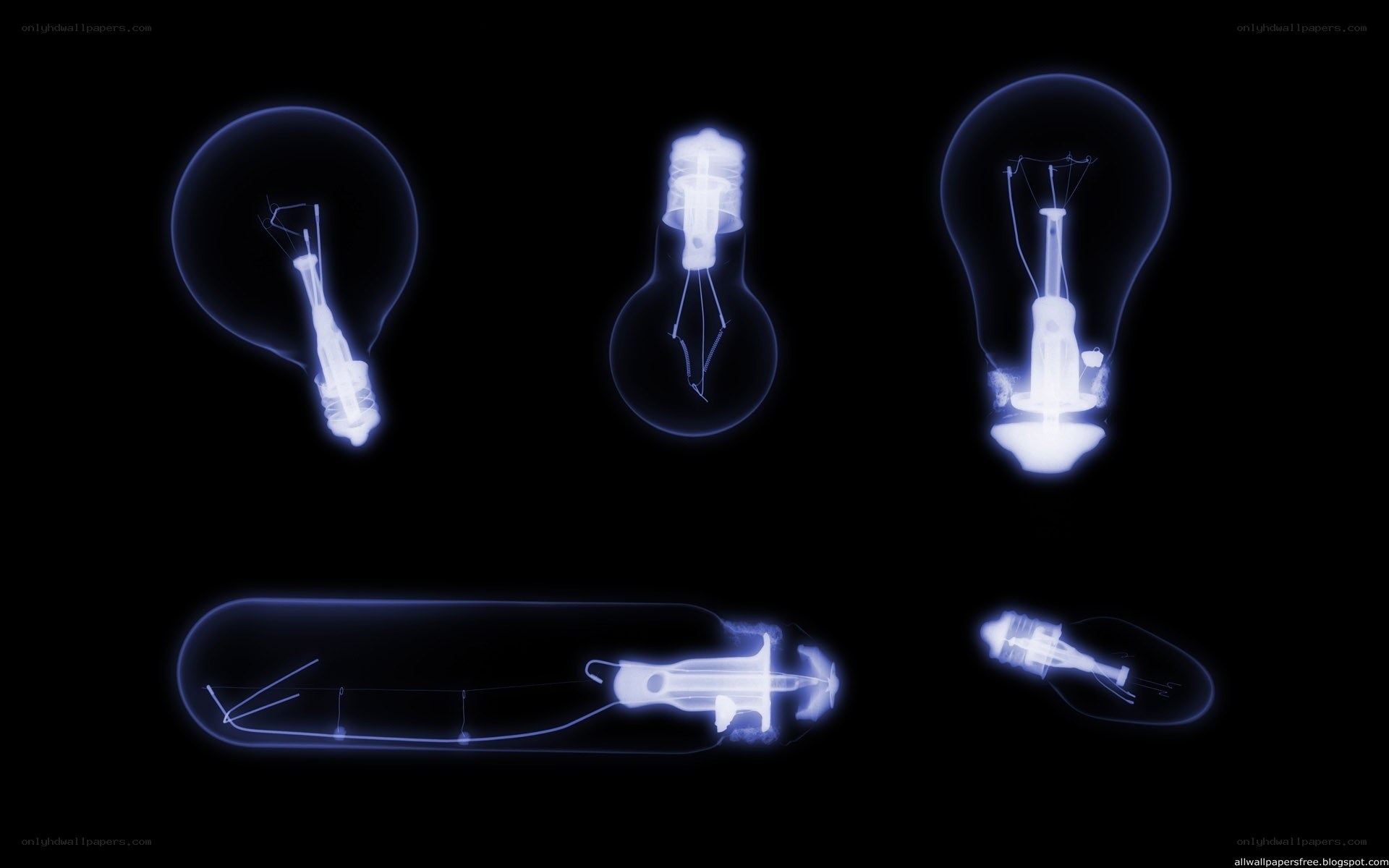 X-ray of light bulbs