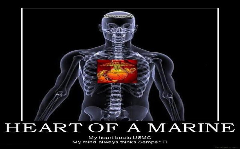 X-ray of Marine Skeleton