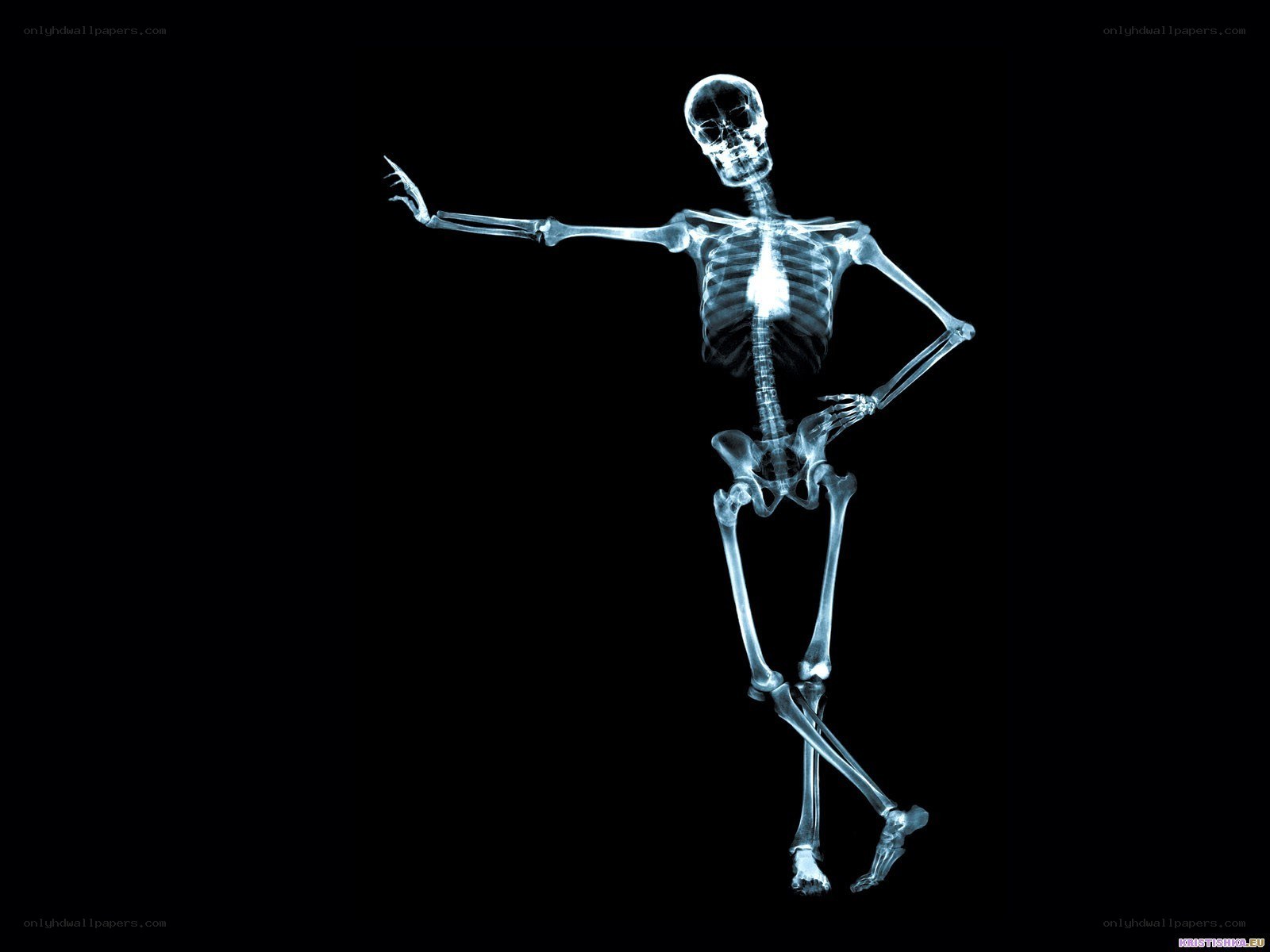 X-ray skeleton dancer