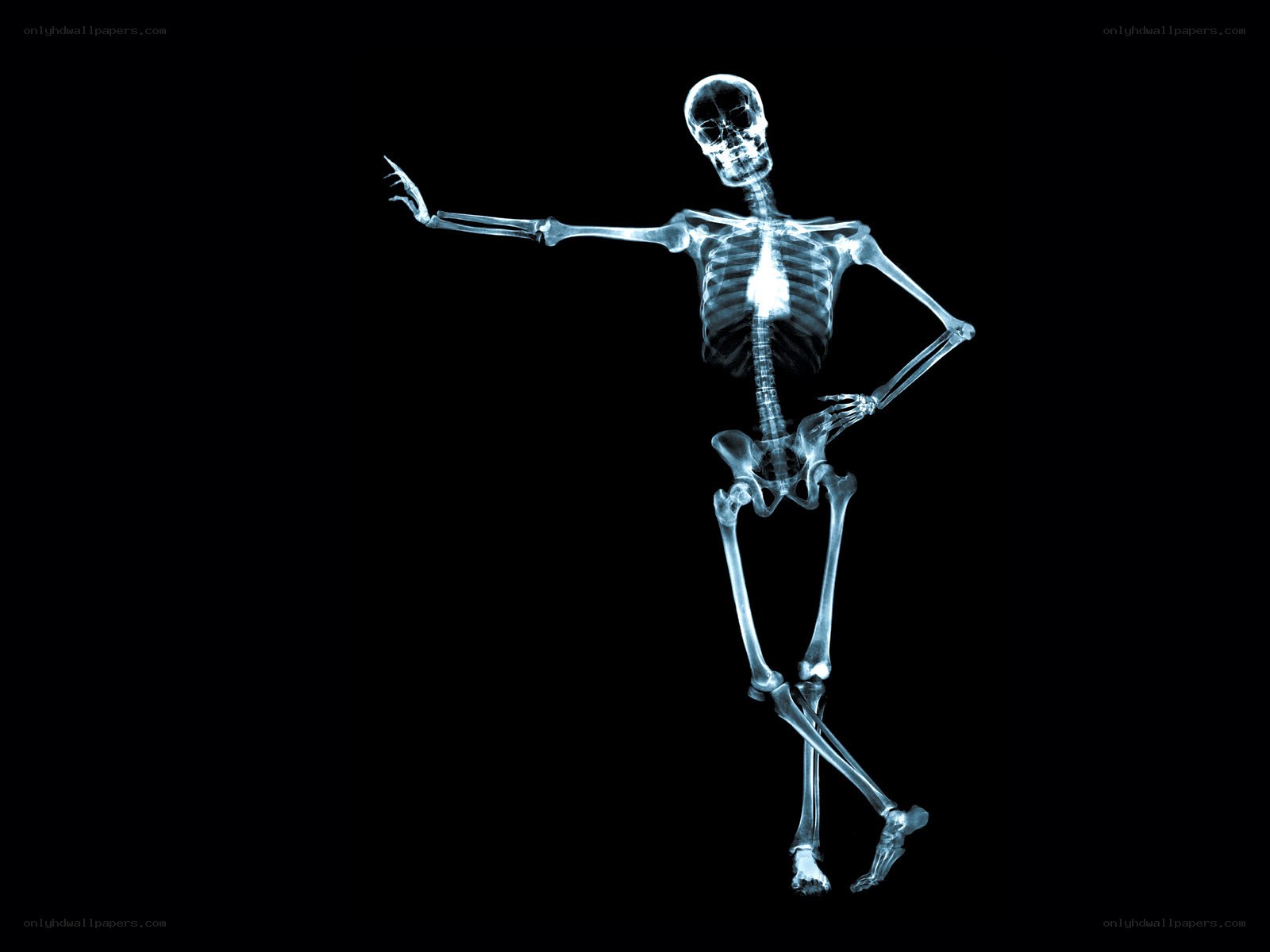 X-ray skeleton dancer