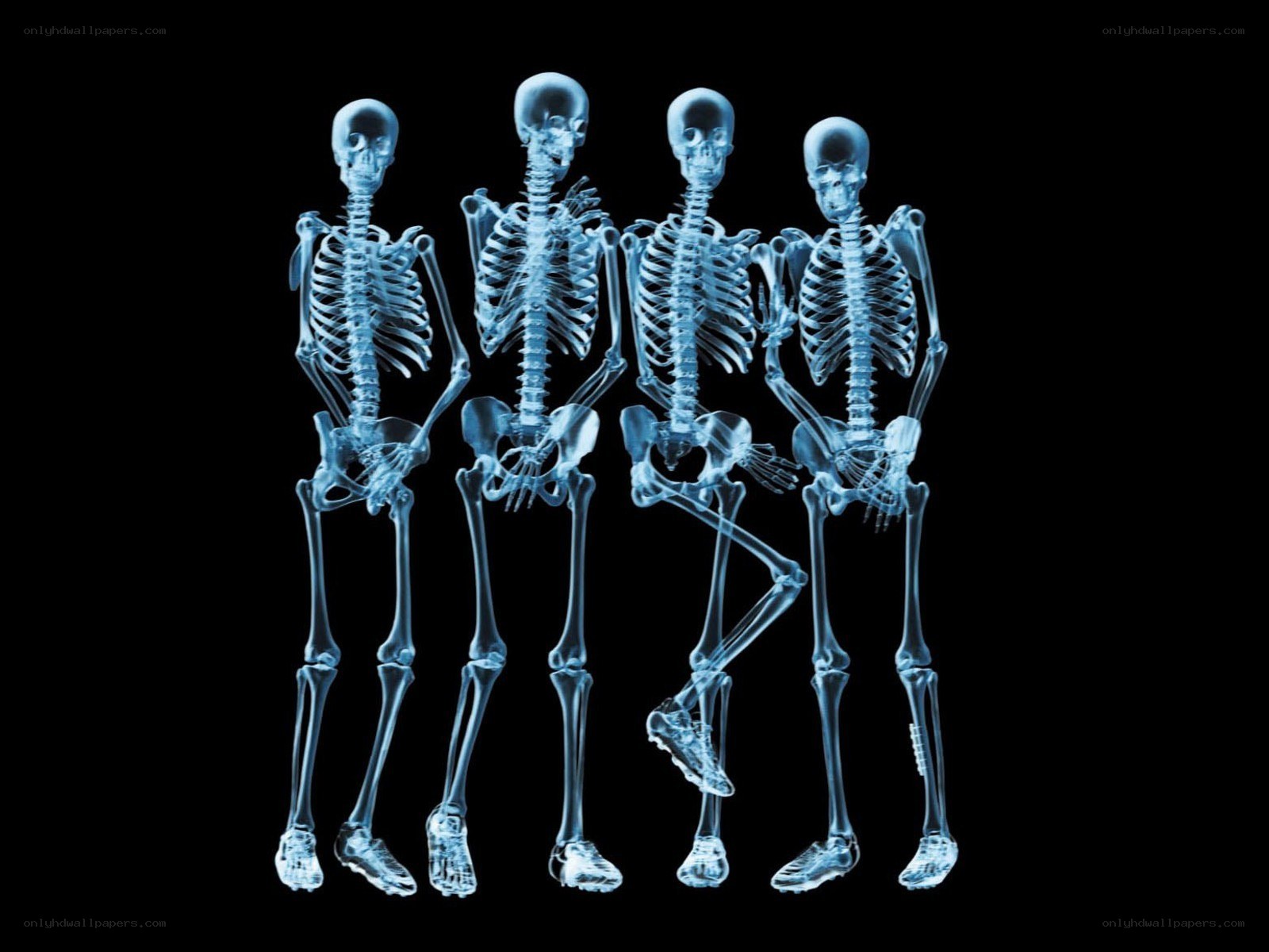 X-ray skeletons in a line