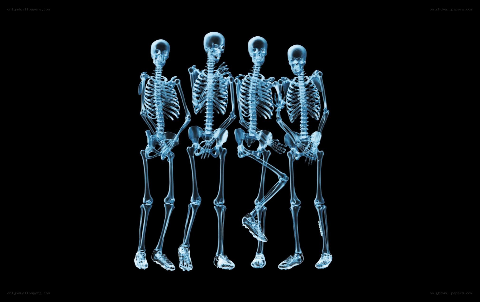 X-ray skeletons in a row