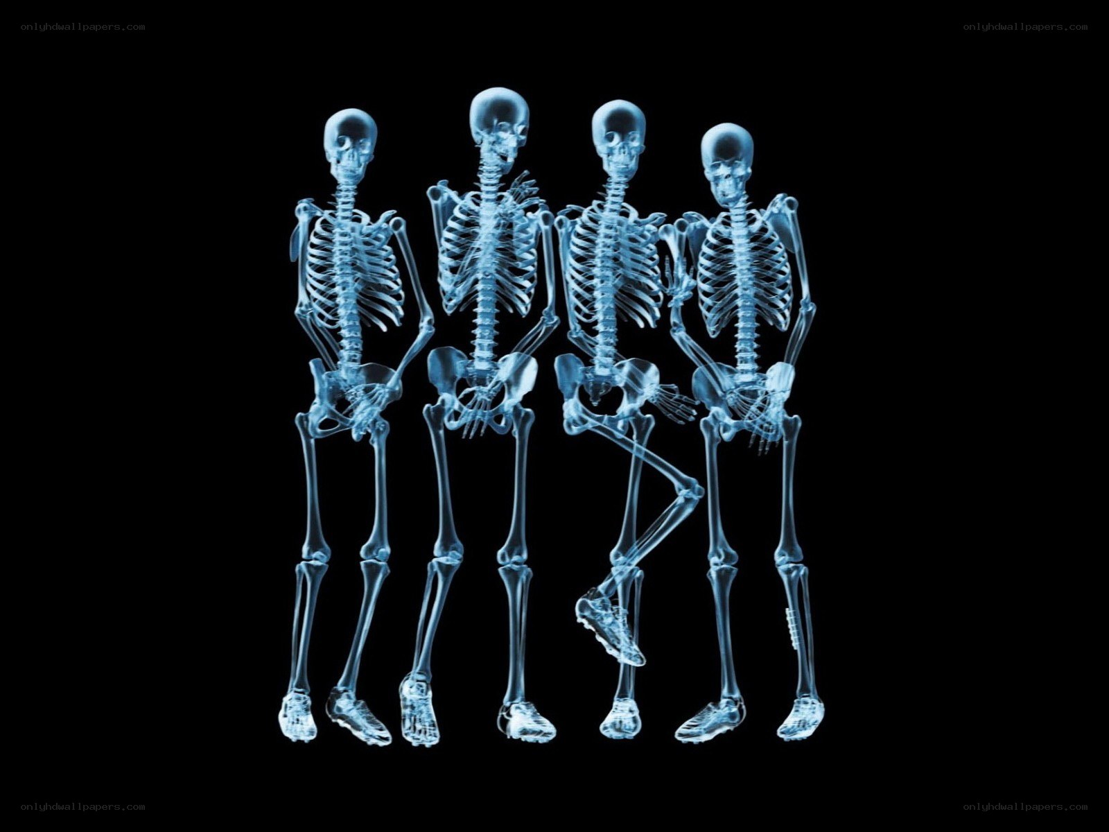 X-ray skeletons in a row