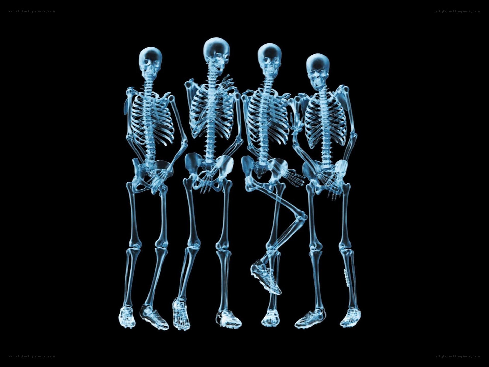 X-ray skeletons in a row