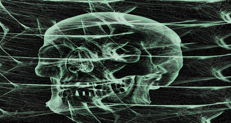 X-ray Skull in Cobwebs