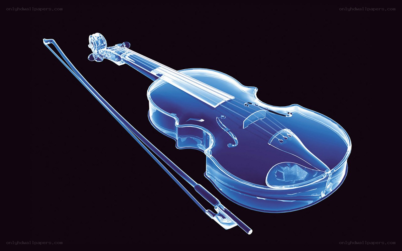 X-ray violin and bow