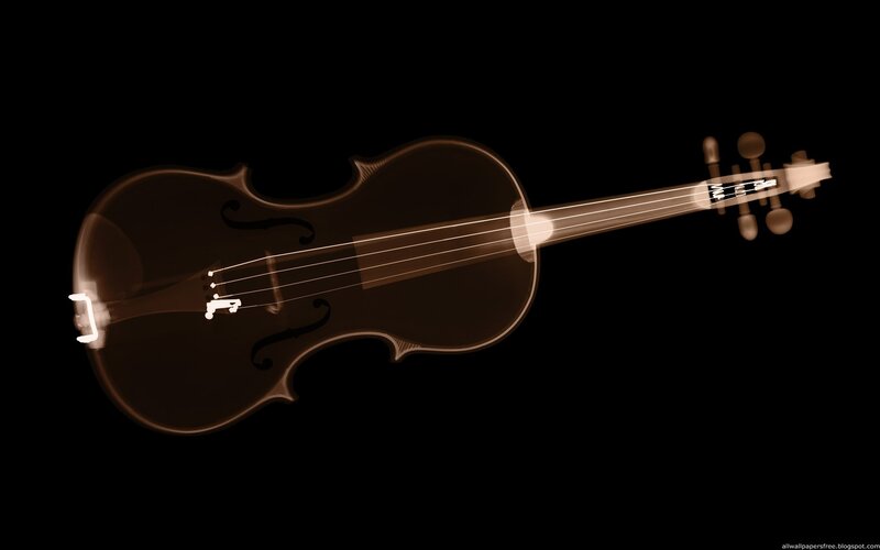 X-ray violin on black background
