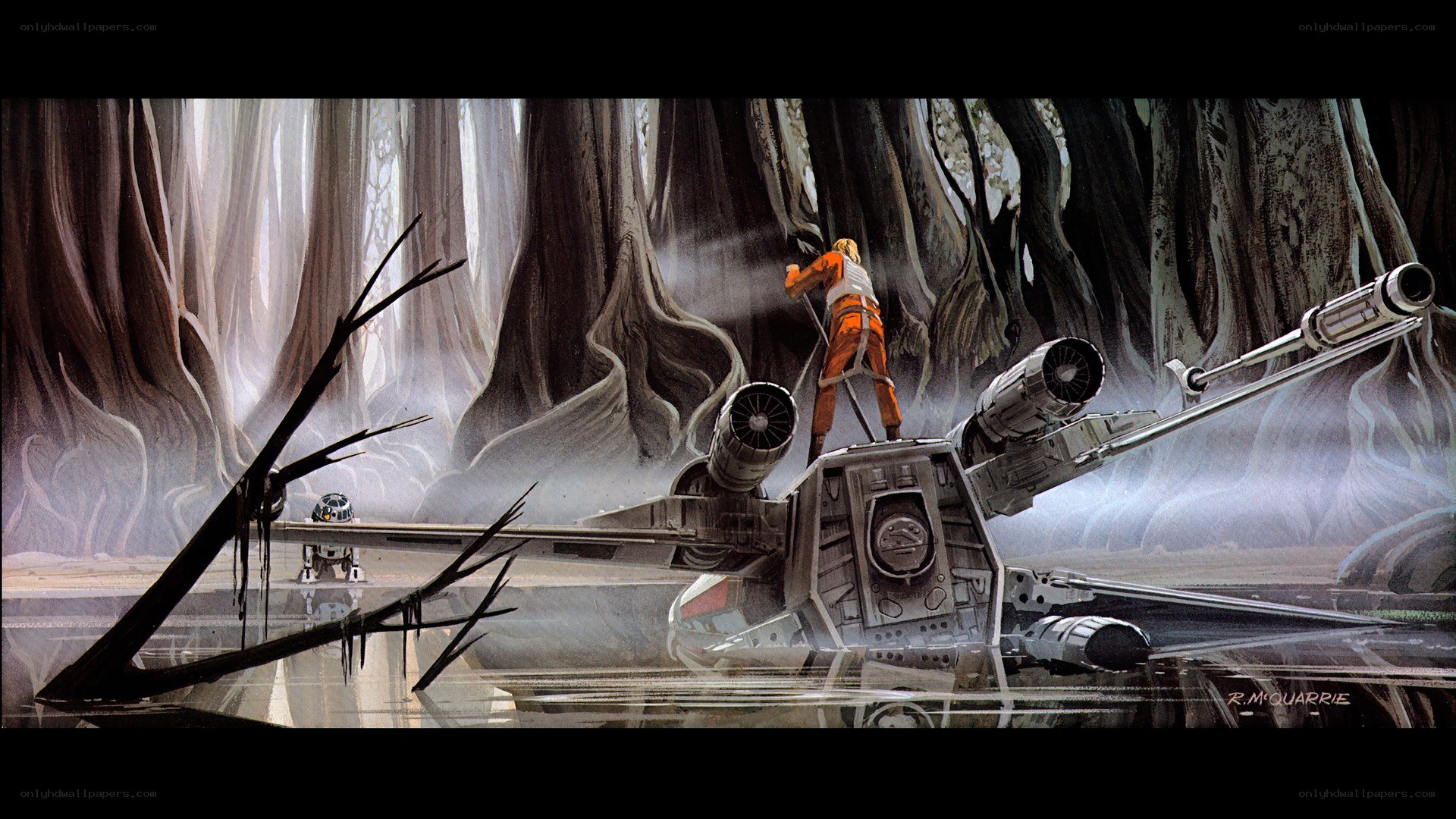 X-wing in swamp forest