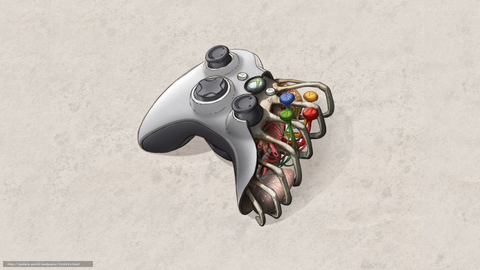 Xbox controller with internal organs